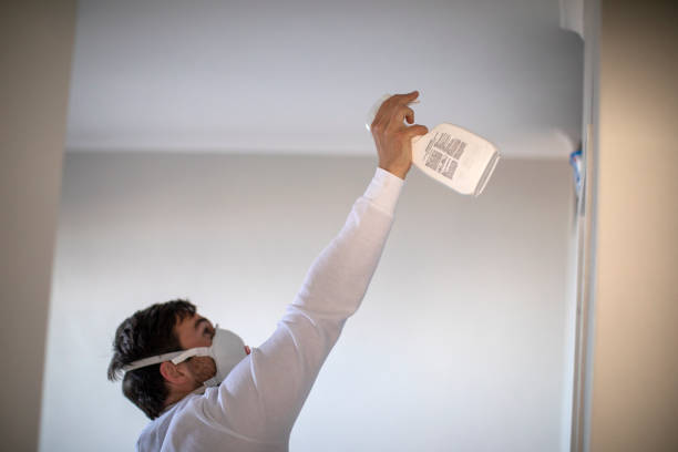 Best Mold Cleaning Services  in Lake Bryan, TX