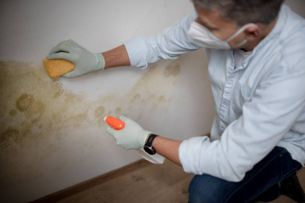 Best Crawl Space Mold Removal  in Lake Bryan, TX
