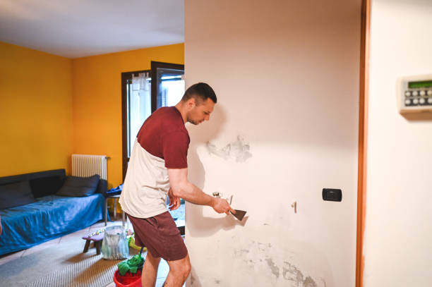 Best Local Mold Removal Service  in Lake Bryan, TX